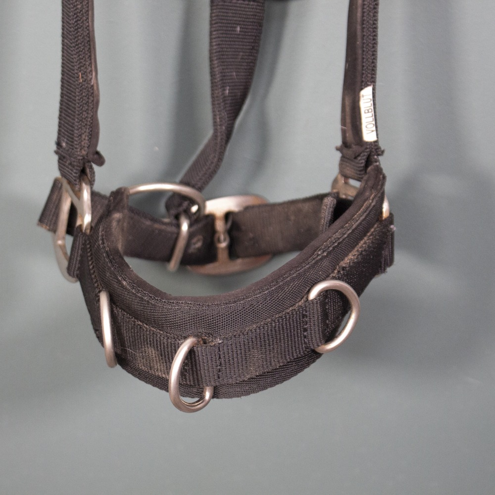 Kappzaum schwarz COB – Bild 2