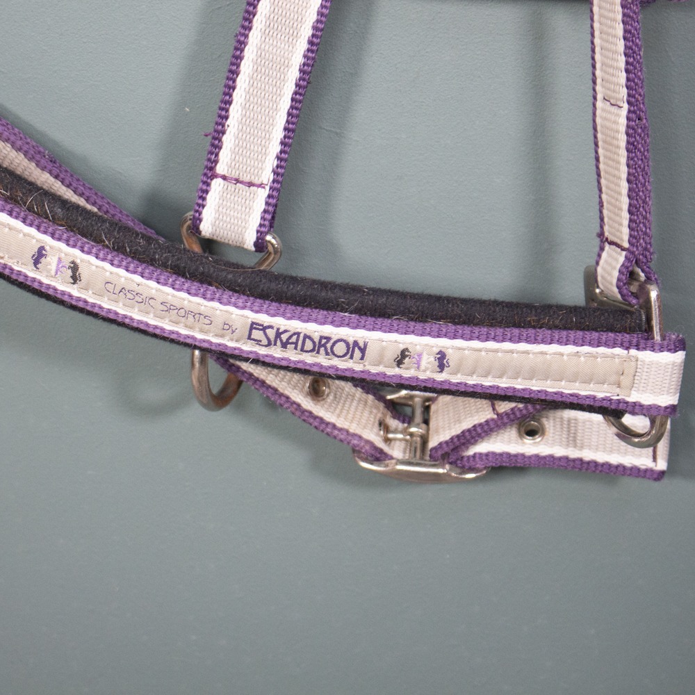 Eskadron Halfter sand WB – Bild 2