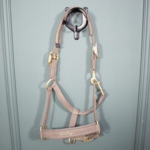 Eskadron Heritage Halfter Sparkle Double Pin plaza taupe COB