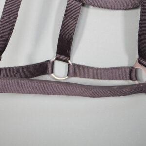 Halfter schwarz WB