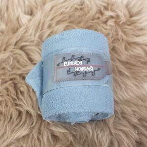 Eskadron Bandagen blau WB