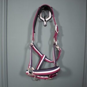 Kingsland Halfter rot/navy Pony