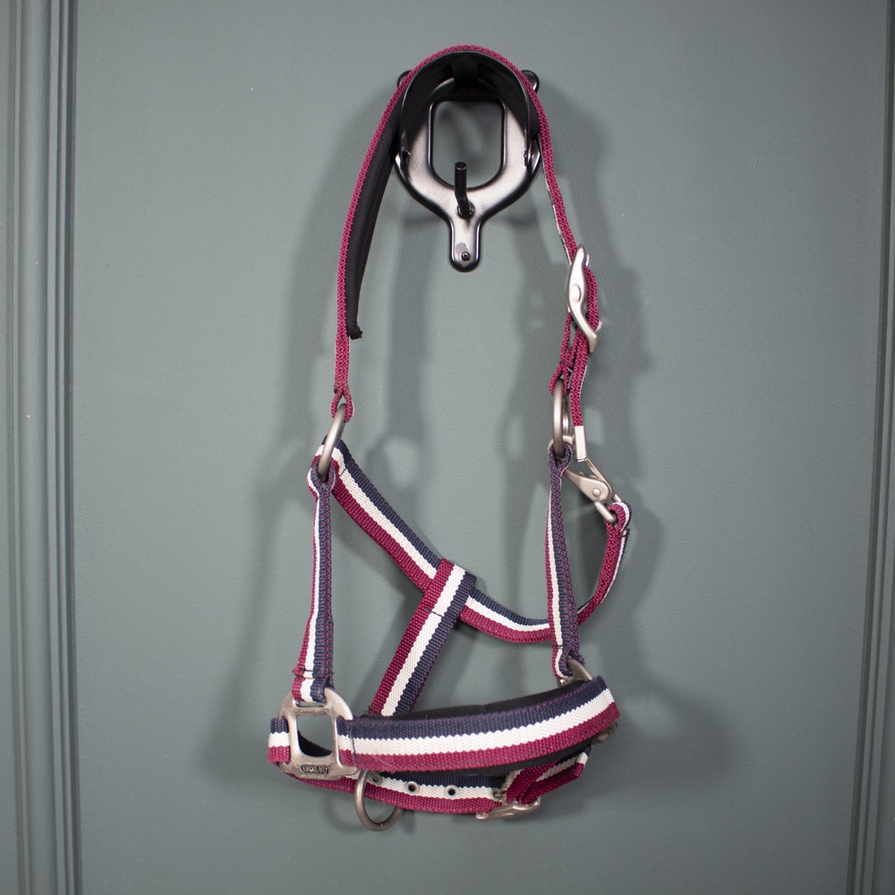 Kingsland Halfter rot/navy Pony
