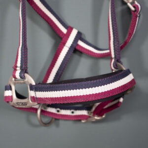 Kingsland Halfter rot/navy Pony