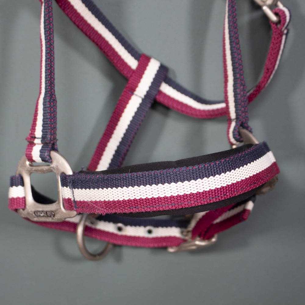 Kingsland Halfter rot/navy Pony – Bild 2