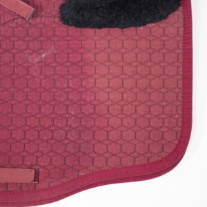 Mattes Schabracke rot DR/M