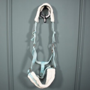 Showmaster Halfter hellblau COB