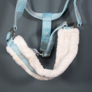 Showmaster Halfter hellblau COB