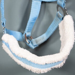 Showmaster Halfter hellblau COB