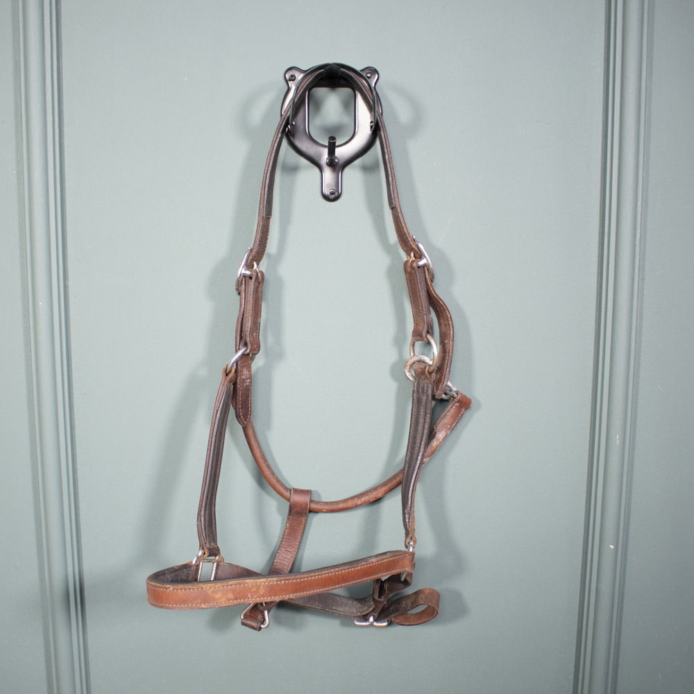 Lederhalfter braun COB