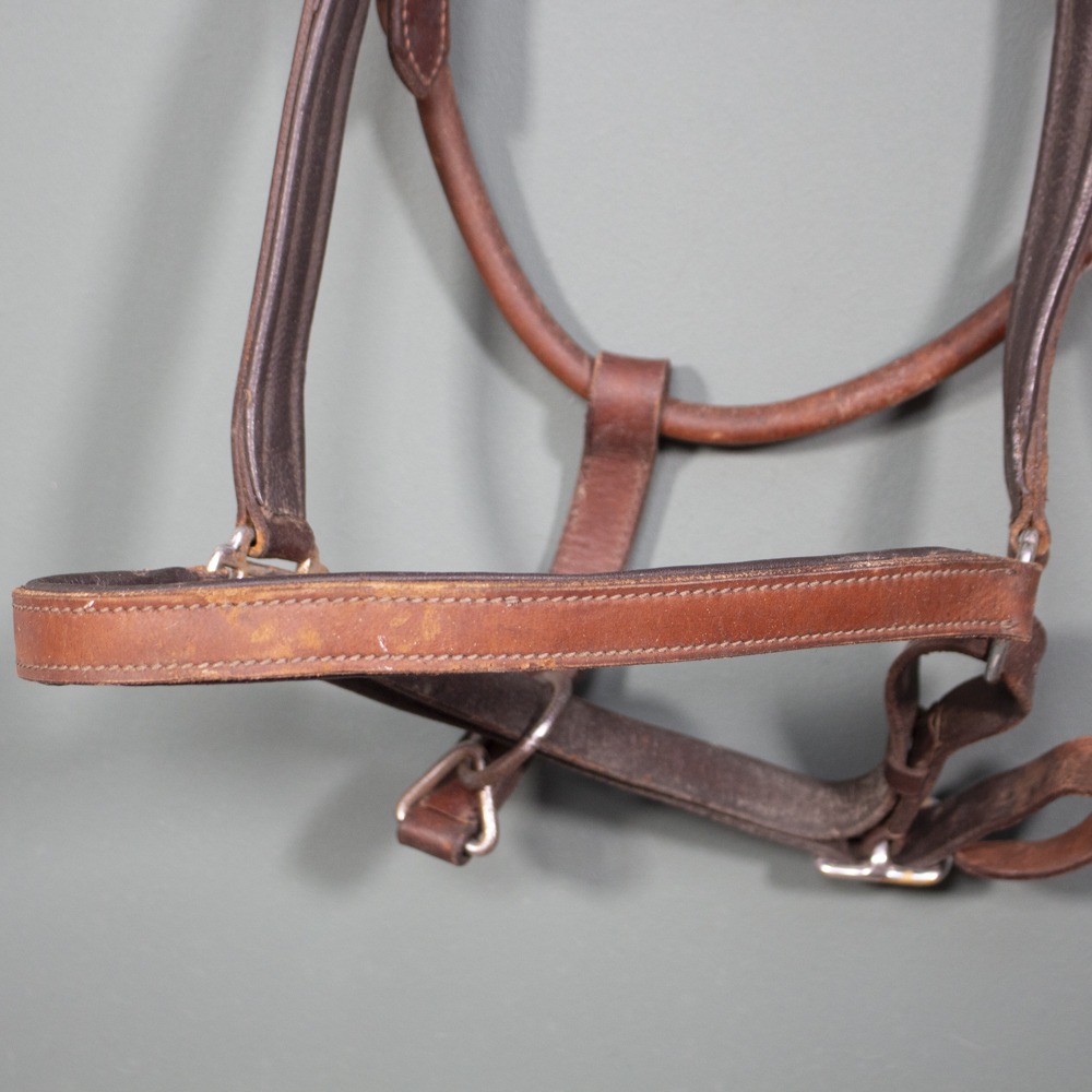 Lederhalfter braun COB – Bild 2