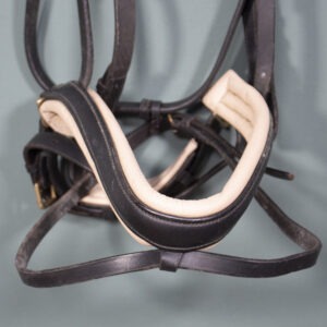 Ascot Trense schwarz WB