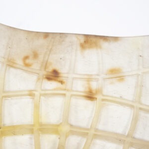 Gel Pad hinten erhöht transparent